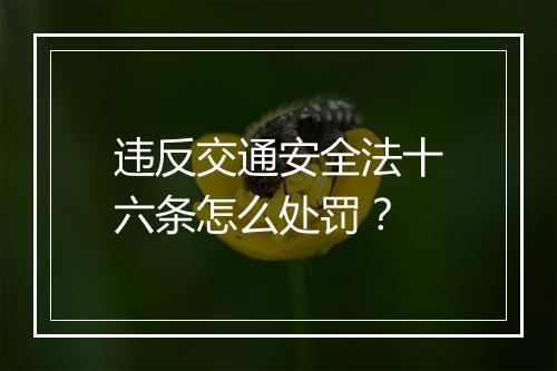违反交通安全法十六条怎么处罚？