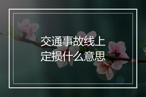 交通事故线上定损什么意思
