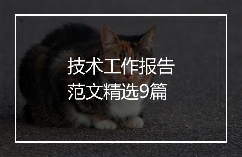 技术工作报告范文精选9篇