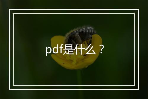 pdf是什么？