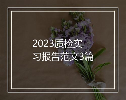 2023质检实习报告范文3篇