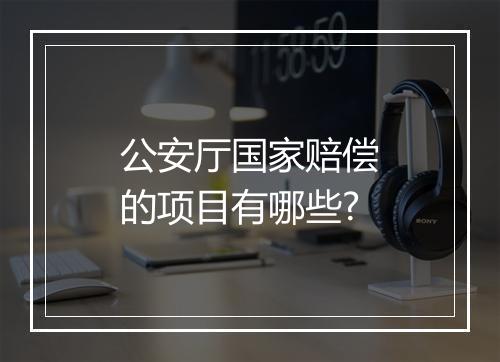 公安厅国家赔偿的项目有哪些?