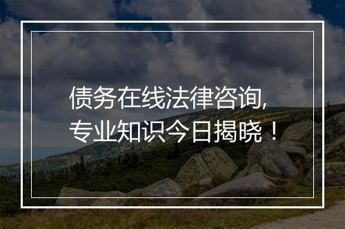 债务在线法律咨询,专业知识今日揭晓！