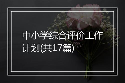 中小学综合评价工作计划(共17篇)