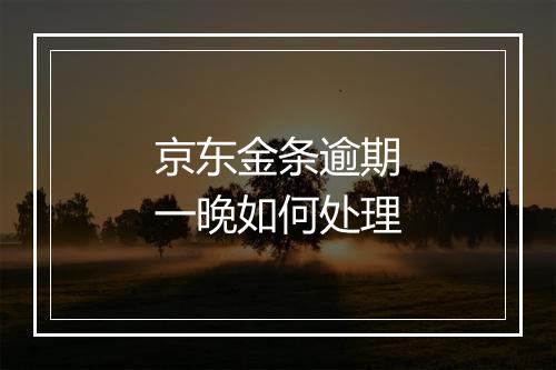 京东金条逾期一晚如何处理