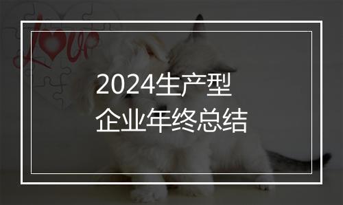 2024生产型企业年终总结
