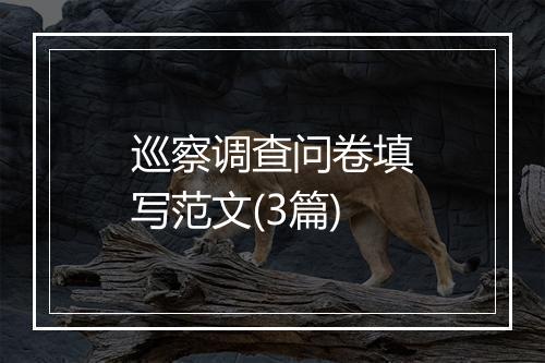 巡察调查问卷填写范文(3篇)