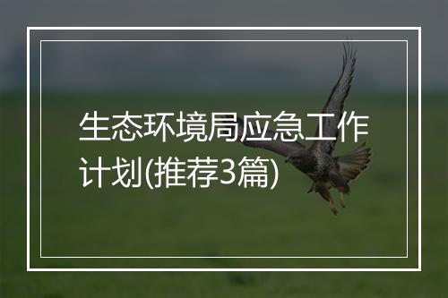 生态环境局应急工作计划(推荐3篇)