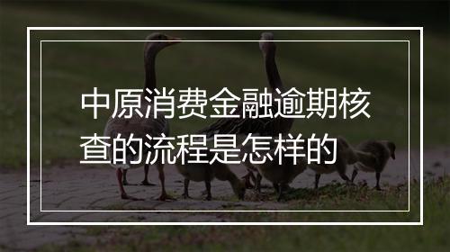 中原消费金融逾期核查的流程是怎样的