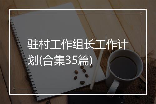 驻村工作组长工作计划(合集35篇)