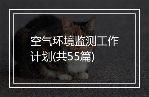 空气环境监测工作计划(共55篇)