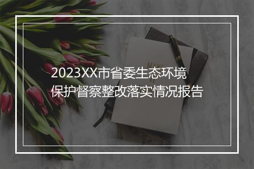 2023XX市省委生态环境保护督察整改落实情况报告