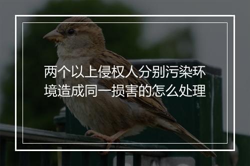 两个以上侵权人分别污染环境造成同一损害的怎么处理