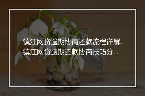 镇江网贷逾期协商还款流程详解,镇江网贷逾期还款协商技巧分享
