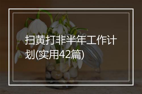 扫黄打非半年工作计划(实用42篇)