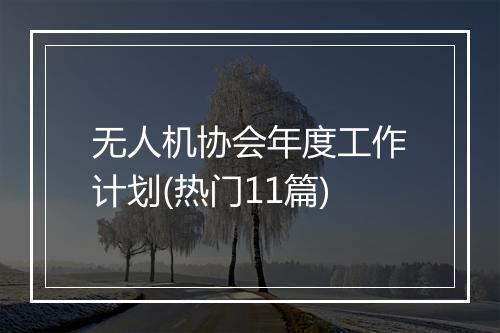 无人机协会年度工作计划(热门11篇)