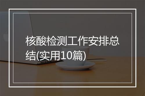 核酸检测工作安排总结(实用10篇)