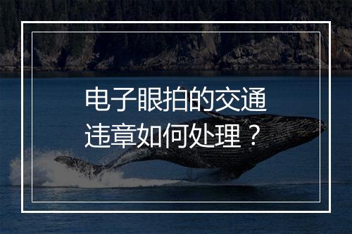 电子眼拍的交通违章如何处理？