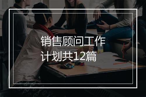 销售顾问工作计划共12篇