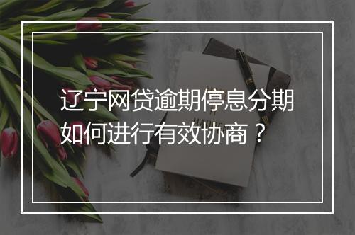 辽宁网贷逾期停息分期如何进行有效协商？