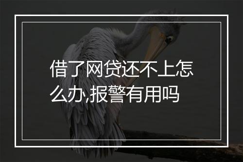 借了网贷还不上怎么办,报警有用吗