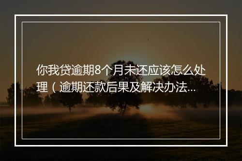你我贷逾期8个月未还应该怎么处理（逾期还款后果及解决办法）