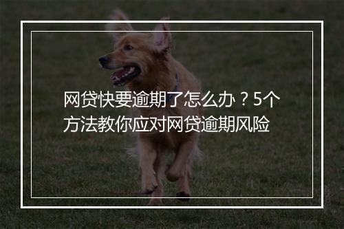 网贷快要逾期了怎么办？5个方法教你应对网贷逾期风险