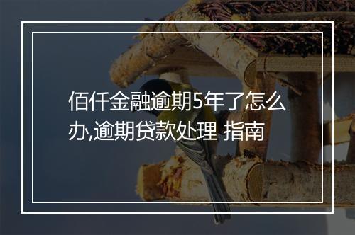 佰仟金融逾期5年了怎么办,逾期贷款处理 指南