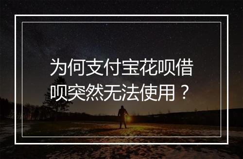 为何支付宝花呗借呗突然无法使用？