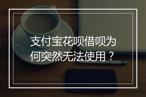 支付宝花呗借呗为何突然无法使用？