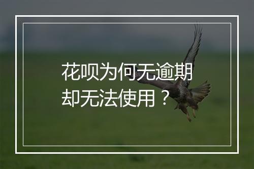 花呗为何无逾期却无法使用？