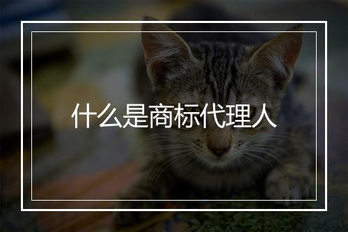 什么是商标代理人