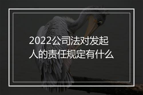 2022公司法对发起人的责任规定有什么