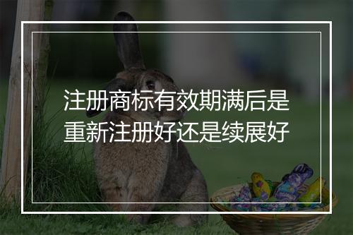 注册商标有效期满后是重新注册好还是续展好