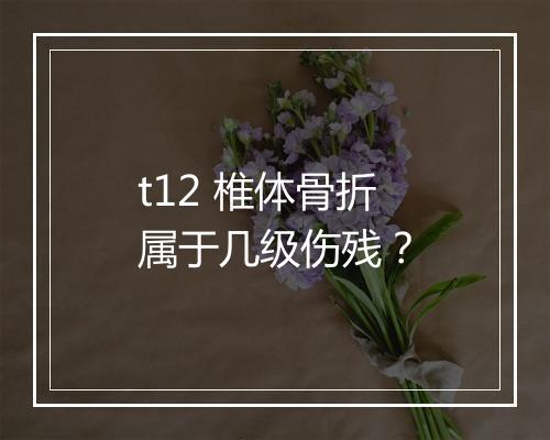 t12 椎体骨折属于几级伤残？