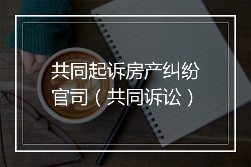 共同起诉房产纠纷官司（共同诉讼）