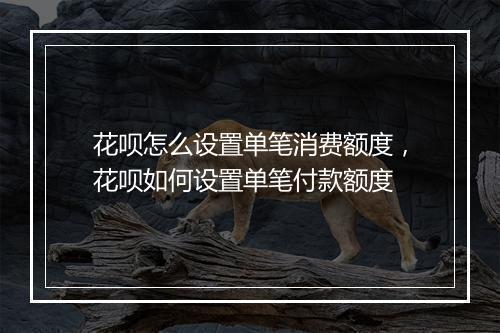 花呗怎么设置单笔消费额度，花呗如何设置单笔付款额度