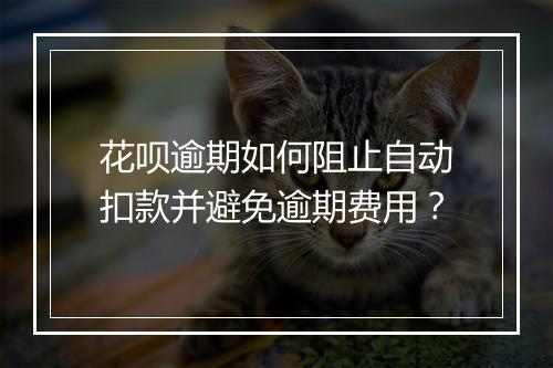 花呗逾期如何阻止自动扣款并避免逾期费用？