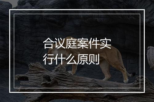 合议庭案件实行什么原则
