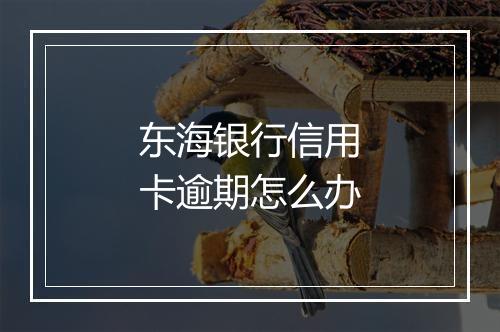 东海银行信用卡逾期怎么办