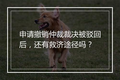 申请撤销仲裁裁决被驳回后，还有救济途径吗？