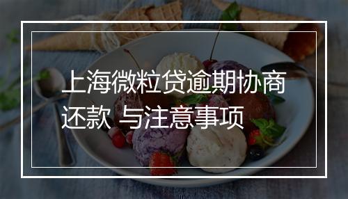 上海微粒贷逾期协商还款 与注意事项