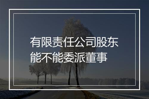 有限责任公司股东能不能委派董事