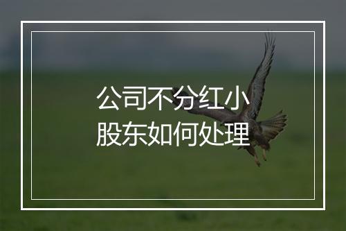 公司不分红小股东如何处理
