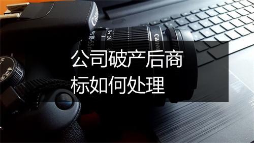 公司破产后商标如何处理