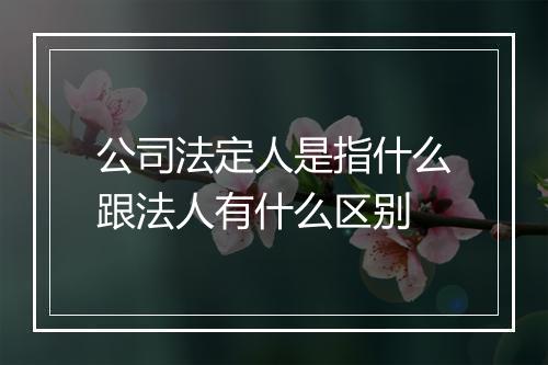 公司法定人是指什么跟法人有什么区别