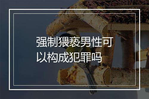 强制猥亵男性可以构成犯罪吗