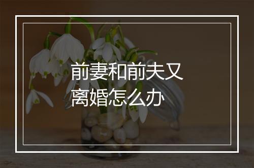 前妻和前夫又离婚怎么办