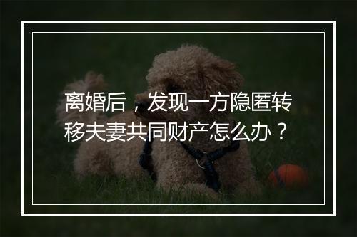 离婚后，发现一方隐匿转移夫妻共同财产怎么办？