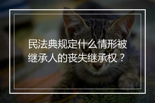 民法典规定什么情形被继承人的丧失继承权？